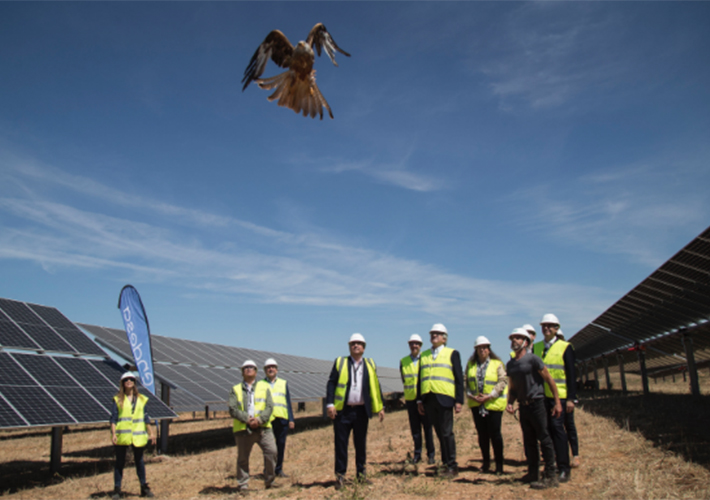 Foto EL PRESIDENTE DE LA JUNTA DE EXTREMADURA Y EL CEO DE ENDESA VISITAN LA PLANTA SOLAR EL DOBLÓN